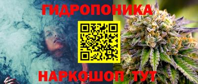стафф Бузулук