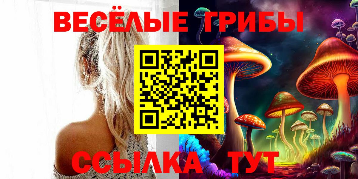 Галлюциногенные грибы Psilocybine cubensis  Вход с VPN  Мончегорск 